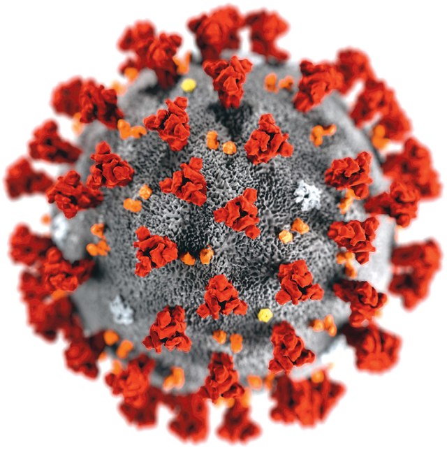 Visualisierung eines Covid-19-Virus 