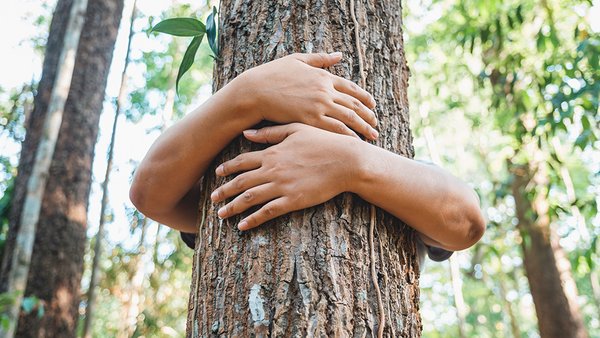Arme, die einen Baum umarmen