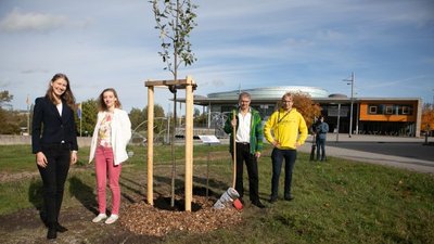 Mehrere Personen stehen neben Baum
