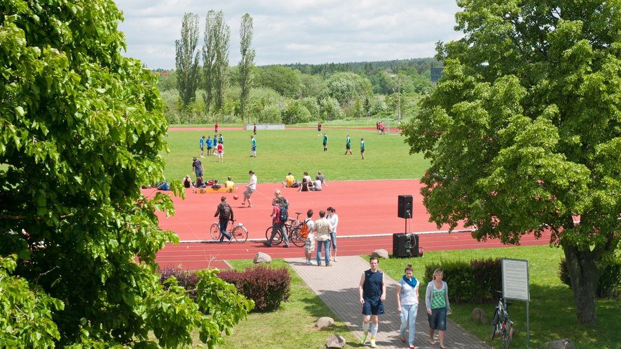 Sportplatz der TU Ilmenau umgeben von Bäumen