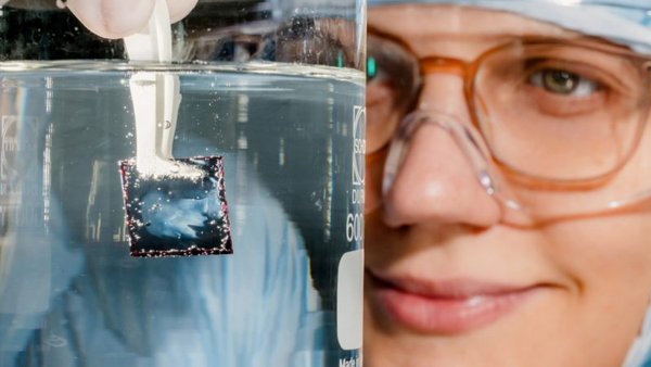Nahaufnahme: Dr. Paszuk taucht photoelektrochemische Zellen in Flüssigkeit