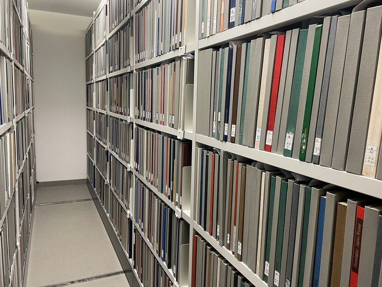 Regalreihe mit Hochschulschriften in der Bibliothek der TU Ilmenau