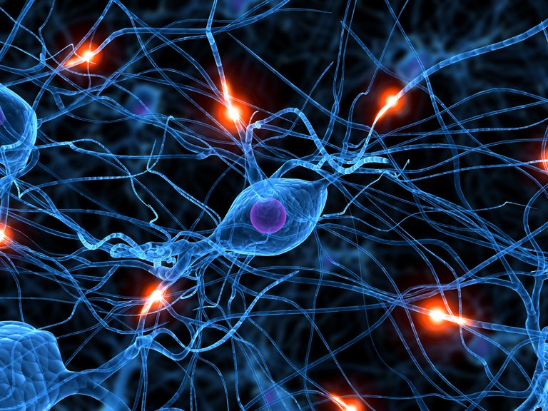 Abbildung eines neuronalen Netzes im Gehirn